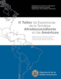 II Taller de Expertas/os de la Temática Afrodescendiente en las Américas