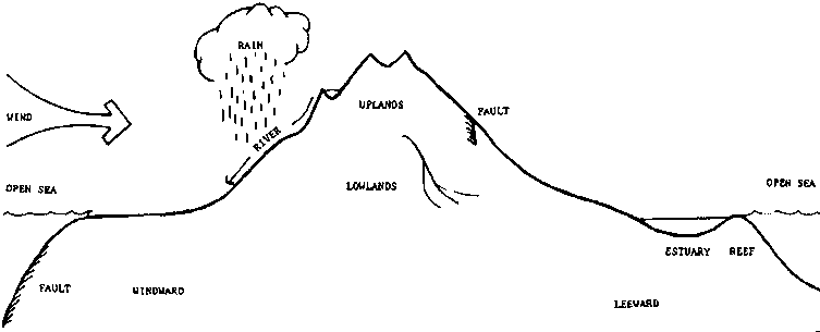 Diagram of a small island