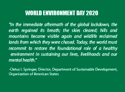 World Environment Day 2020