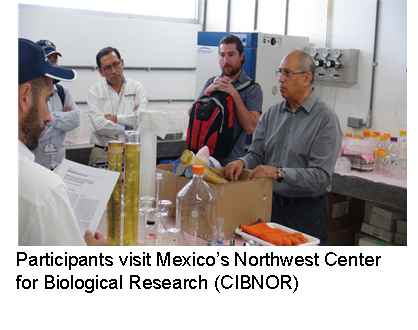 Participants visit Mexico’s Northwest Center for Biological Research (CIBNOR)