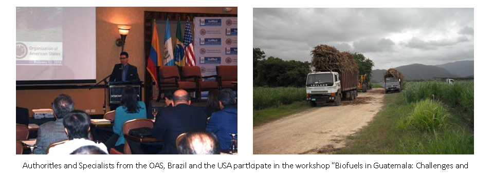 Guatemala is closer to using biofuels with support from the OAS