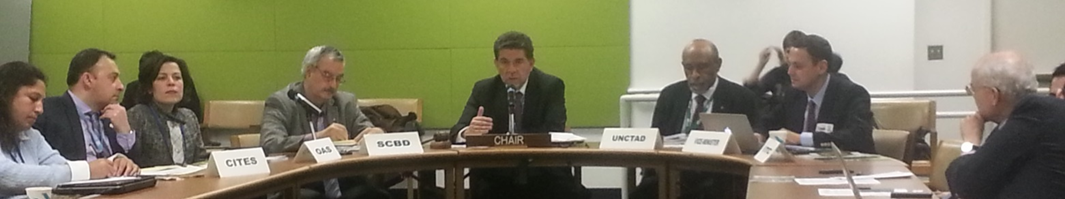 La OEA al frente del debate sobre la agenda de Desarrollo Sostenible post-2015