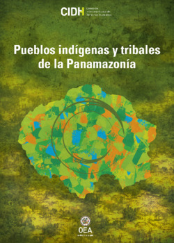 Situación de los derechos humanos de los pueblos indígenas y tribales en la panamazonía