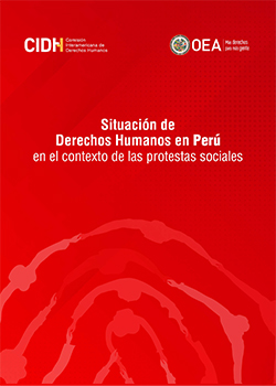 Situación de los Derechos Humanos en el Perú en el contexto de las protestas sociales