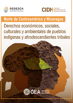 Derechos económicos, sociales, culturales y ambientales de pueblos indígenas y afrodescendientes tribales del Norte de Centroamérica y Nicaragua