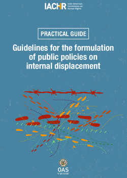 Practical Guide: Guidelines on the formulation of public policies on internal displacement