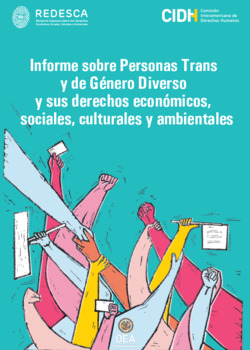 Informe sobre personas trans y de género diverso y sus derechos económicos, sociales culturales y ambientales