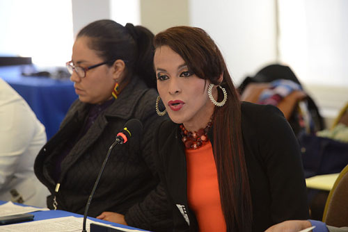 Hablando en el micrófono, peticionaria de la Audiencia: Luz Marina Matute (Asociación LGBT Arcoiris de Honduras)