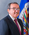 Luis Ernesto Vargas Silva