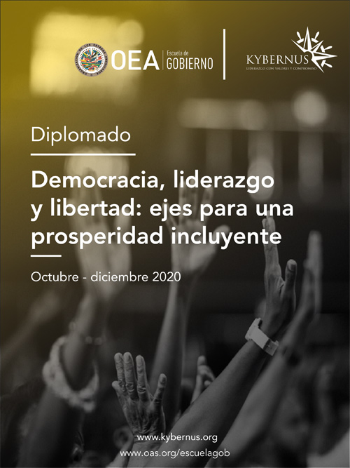 Diplomado OEA-Kybernus