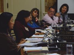 Foto: Reuni�n del Grupo de Trabajo del CEDDIS. En la foto se pronuncia la Dra. Izabel Mayor, entonces representante de Brasil