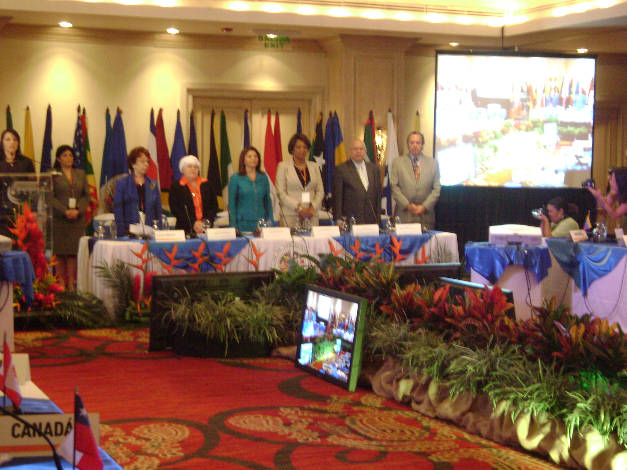 XXXVI Asamblea de Delegadas de la Comisión Iinteramericana de Mujeres. Declaración de San José: autonomía económica y política de mujeres de América(29 de octubre de 2012)