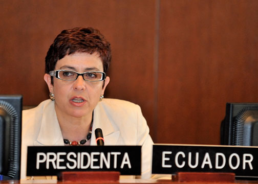 Representante Permanente de Ecuador presidió por primera vez el Consejo Permanente de la OEA