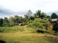 Comunidad Mayagna (Sumo) de Awas Tingni, Nicaragua