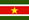 Bandera Suriname