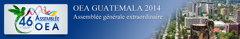 46 Session extraordinaire de l’Assemblée générale de l’OEA - Guatemala 2014