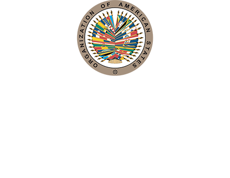 Logo Comision Interamericana De Mujeres