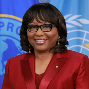 The Director General of the Pan American Health Organization (PAHO) 