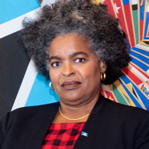 Presidenta del Consejo Permanente de la OEA 