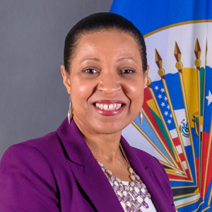 The Director General of the Inter-American Agency for Cooperation and Development (IACD)  