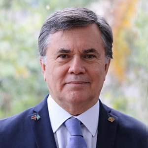 The Director General of the Inter-American Institute for Cooperation on Agriculture (IICA) 