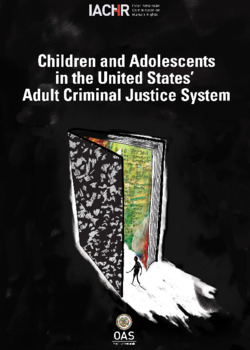 The Situation of Children in the Adult Criminal Justice System in the United States