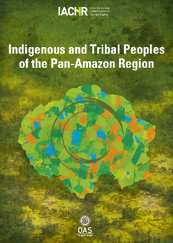 Situation of Human Rights of the Indigenous and Tribal Peoples of the Pan-Amazon Region