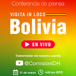 Observaciones preliminares de la visita in loco a Bolivia