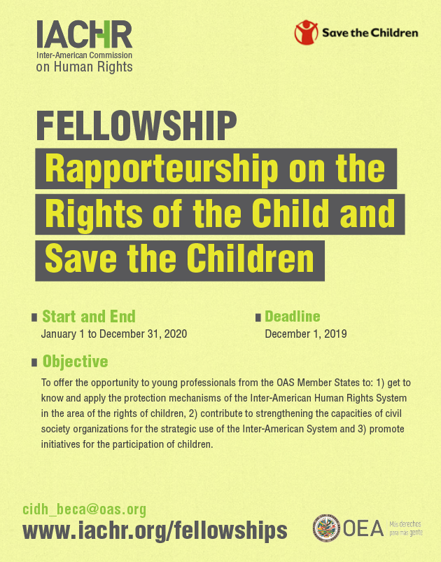  Rapporteurship on the Rights of the Child
and Save the Children 