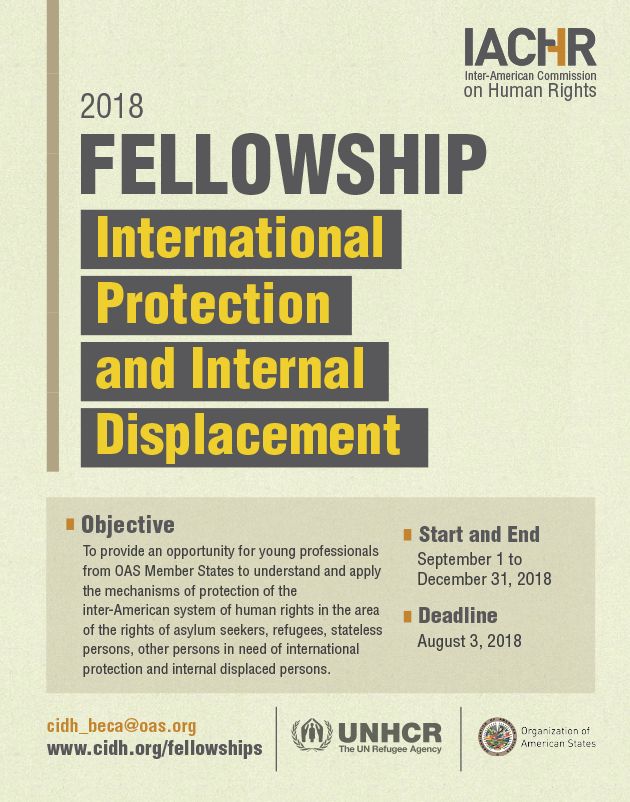Fellowship on International Protection and Internal Displacement 2018
