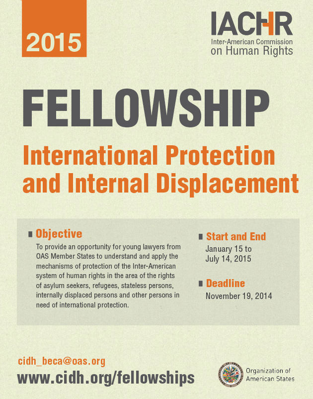 Fellowship on International Protection and Internal Displacement 2015