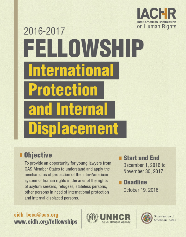 Fellowship on International Protection and Internal Displacement 2016