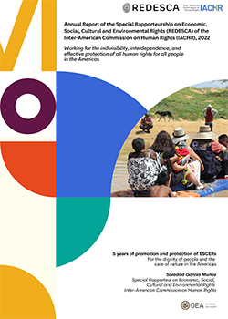 VI Annual Report of the Special Rapporteur on Economic, Social, Cultural, and Environmental Rights (REDESCA)