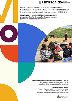 VI Informe de la Relatoría Especial sobre los Derechos Económicos, Sociales, Culturales y Ambientales (REDESCA)