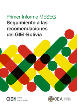 first report issued by the MESEG-Bolivia