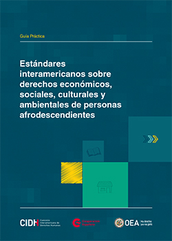 Estándares interamericanos sobre derechos económicos, sociales, culturales y ambientales de personas afrodescendientes
