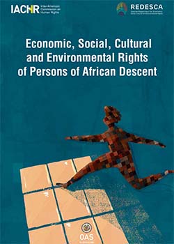 Economic, Social, Cultural and Environmental Rights of Persons of African Descent, Inter-American Standards for the Prevention, Combat and Eradication of Structural Racial Discrimination