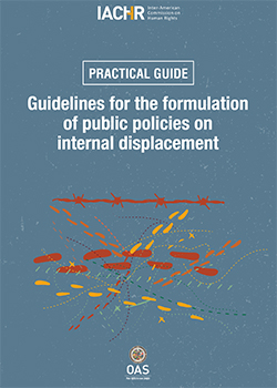 Guidelines for the formulation of public policies on internal displacement