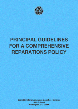 Principal Guidelines for a Comprehensive Reparations Policy