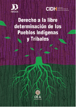 Derecho a la libre determinación de los Pueblos Indígenas y Tribales