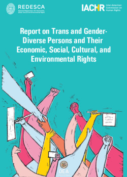 Report on Trans and Gender-Diverse Persons and Their Economic, Social, Cultural, and Environmental Rights
