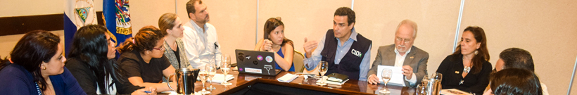 Mecanismo Especial de Seguimiento para Nicaragua (MESENI)