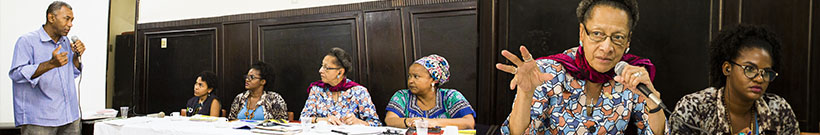  Relatoría sobre los Derechos de las Pesonas Afrodescendientes y contra la Discriminación Racial