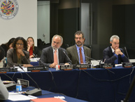Los Comisionados en la audiencia sobre la situación de las personas detenidas en Guantánamo, que tuvo lugar el 12 de marzo de 2013
