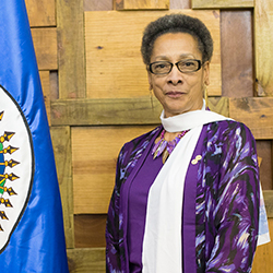 “Celebración del Día Internacional de las Personas Afrodescendientes”, Sesión Ordinaria del Consejo Permanente de la OEA