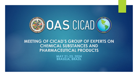 Reunión del Grupo de Expertos  sobre Sustancias Químicas y Productos Farmacéuticos de la CICAD