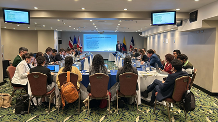 OAS Subregional Cyber Diplomacy Course: Protection of Critical Infrastructure and Critical Information Infrastructure Against Cyber Threats 