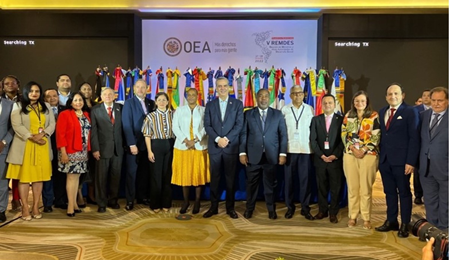 The authorities who attended the Quita REMDES in the Dominican Republic are standing, behind them are the flags of the Member States and the logo of the OAS and the meeting.