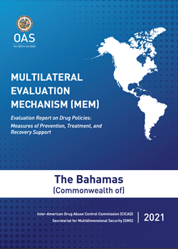 Cover of the Report, color blue, the Americas in white, and the title of the report.
