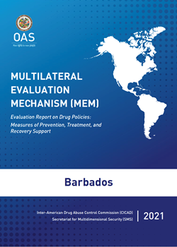 Cover of the Report on a blue background with the Americas in white, and the OAS logo.
